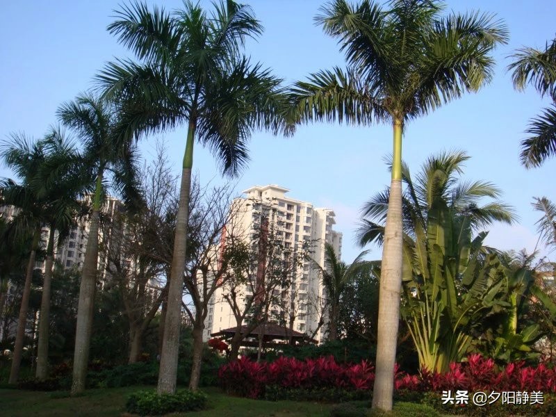 我的海南之旅全集,海南天赐上湾怎么样