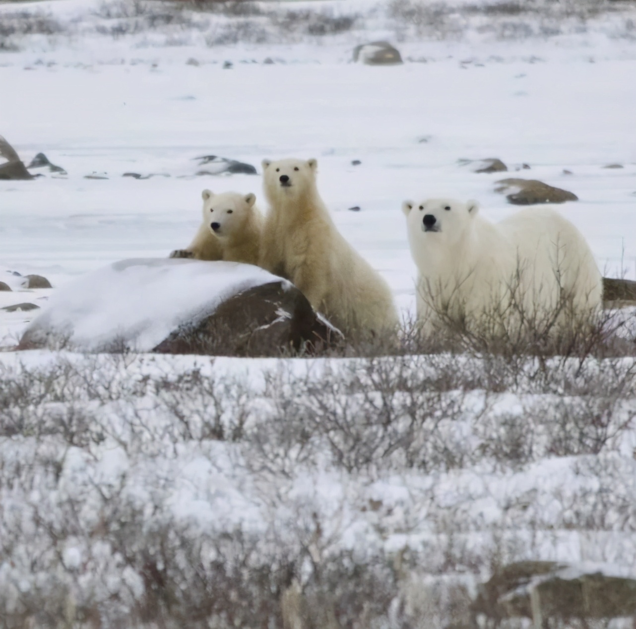 世界尽头的美丽,世界尽头的极致美丽
