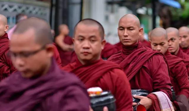 柚木缅甸哪个地方的柚木最好,缅甸最好的柚木产自哪里