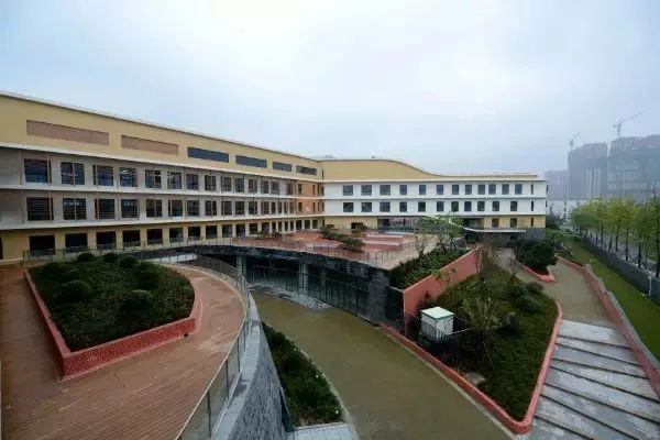 霍森斯与蒙彼利埃小学,泡小天府校区与石室天府附小比较