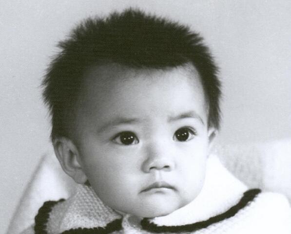 高圆圆和赵又廷差多少岁,高圆圆和赵又廷年龄差多少