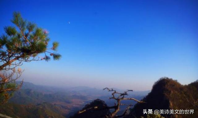 白居易写诗吐槽上班,白居易嫌工作太累