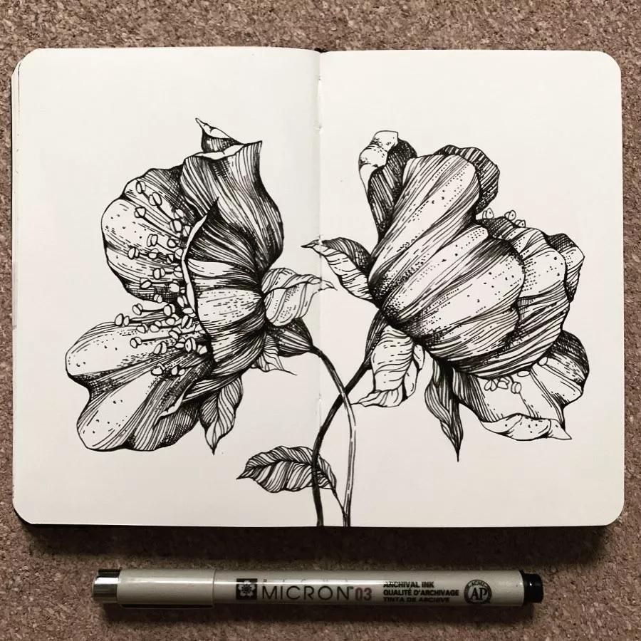 一看就懂的针管简笔画,针管笔入门手绘1000例临摹图