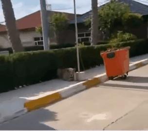 姑娘你的衣服一直走在时尚的最前沿，不过这时尚实在是让人看不懂