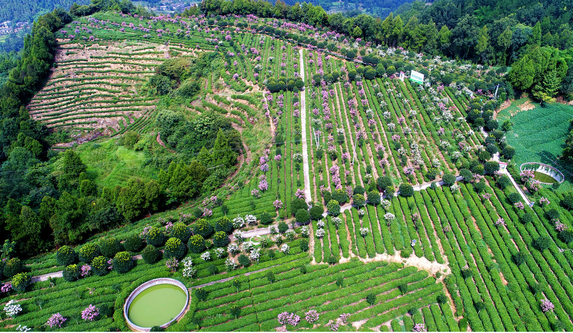 如果你累了就来这座小城吧,如果你累了就来云南吧完整版