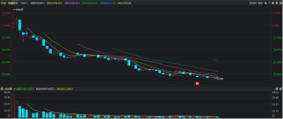 中国股市2024年大盘市盈率,新股上市怎么看股市走势