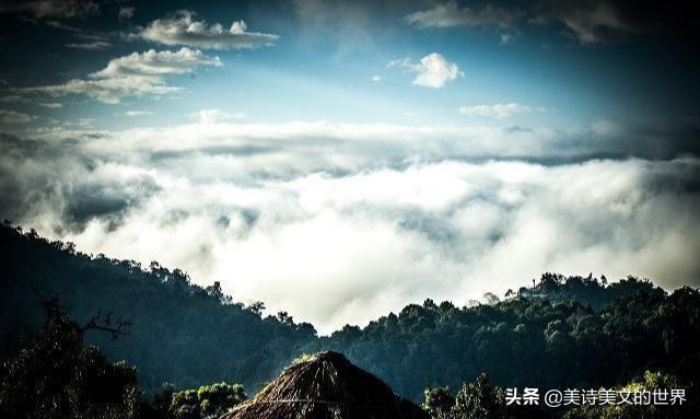 白居易写诗吐槽上班,白居易嫌工作太累