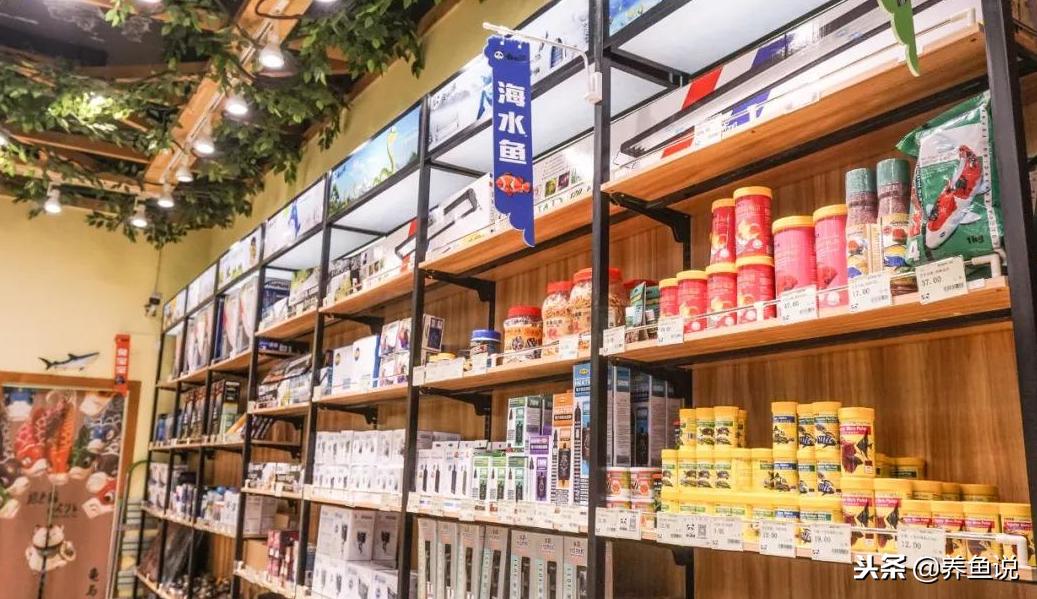 买观赏鱼应该在哪里买,现在买观赏鱼回家再小心都会死鱼