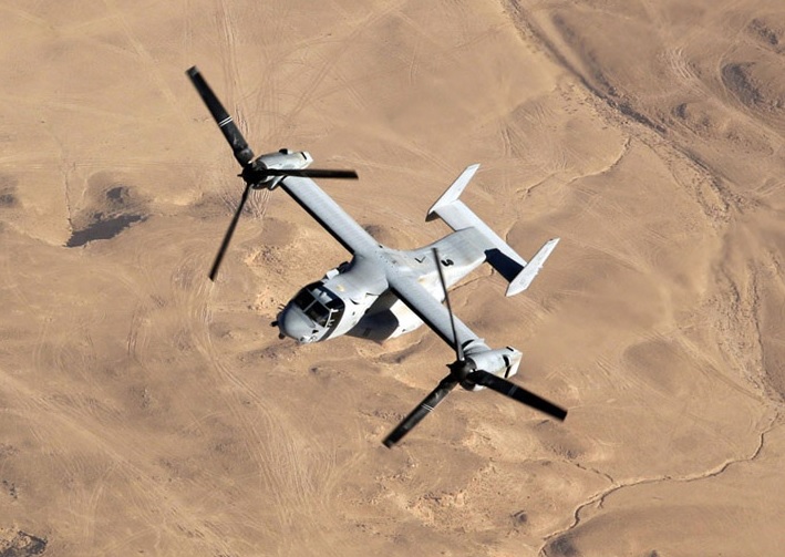 日本小的弊端：“鱼鹰”没处放！佐贺县：忙着养紫菜呢，明年再说