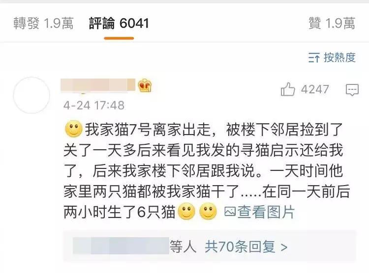 猫圈一定是魔咒吗,猫圈玄学黑猫