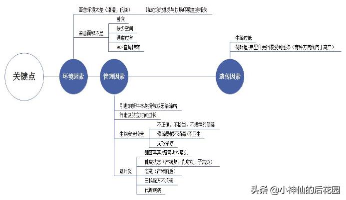 牛蹄疣的发病原因,牛蹄长疣后修复