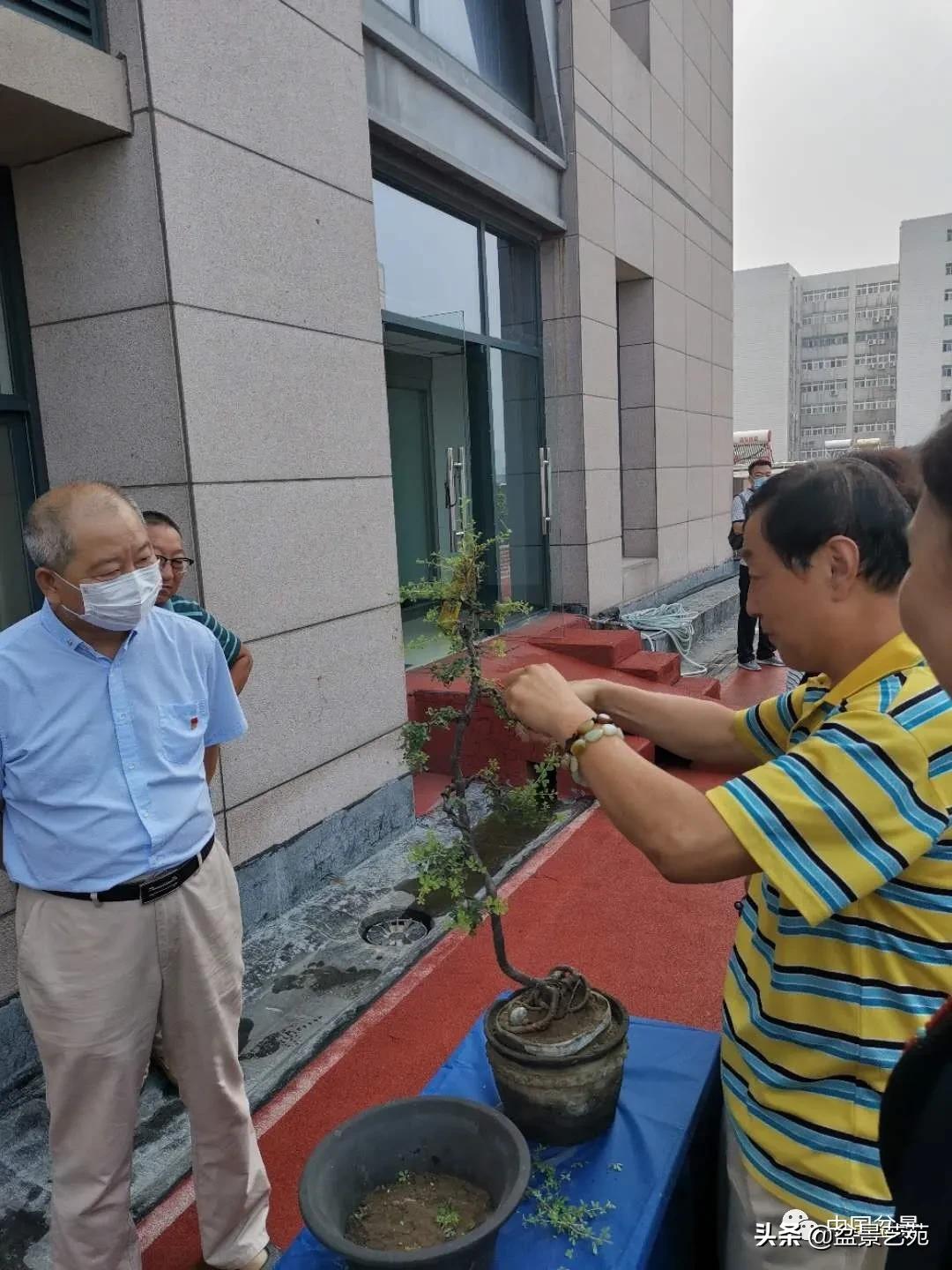 涓浗钁楀悕鐩嗘櫙澶у笀绮惧搧鐩嗘櫙,鐩嗘櫙鑹烘湳瀹跺拰鐩嗘櫙鑹烘湳澶у笀