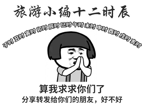 扎心了！旅游人的十二时辰是这样的！|Top-booking推荐