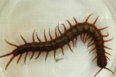 加盟项目受骗了怎么办,加盟创业如何防止被骗