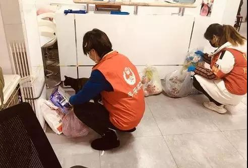 致敬在这场战疫中无私奉献者,致敬战疫路上了不起的她