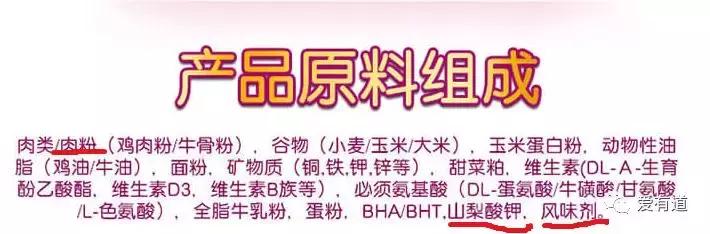 毛孩子乱吃东西被主人发现,毛孩子乱吃东西主子的真实反应