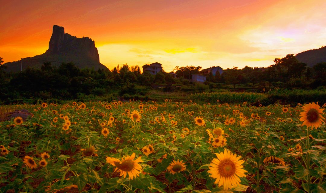 金华市著名网红,十大网红打卡圣地金华