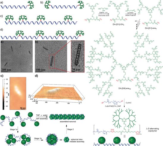 精选JACS/Angew12篇:树枝状大分子的最新成果大盘点