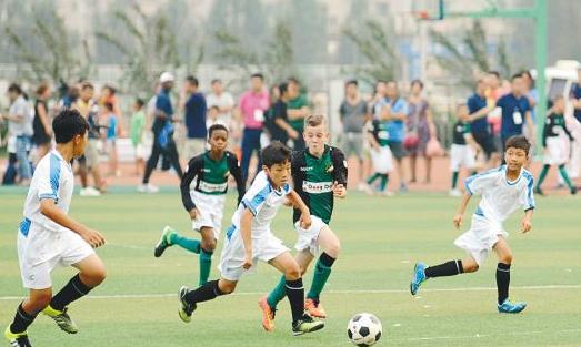 为什么中国很少足球场,为什么足球场这么少