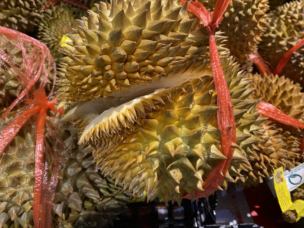 榴莲如何挑选轻微裂开,榴莲裂开了但是肉脆怎么办