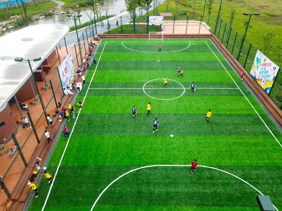 青白江十大健身地,青白江区体育锻炼的地方