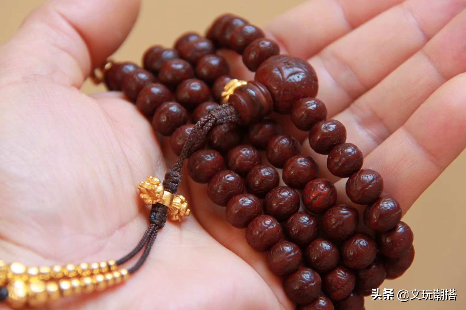 凤眼菩提为什么有的小尺寸就便宜,凤眼菩提怎么看品相