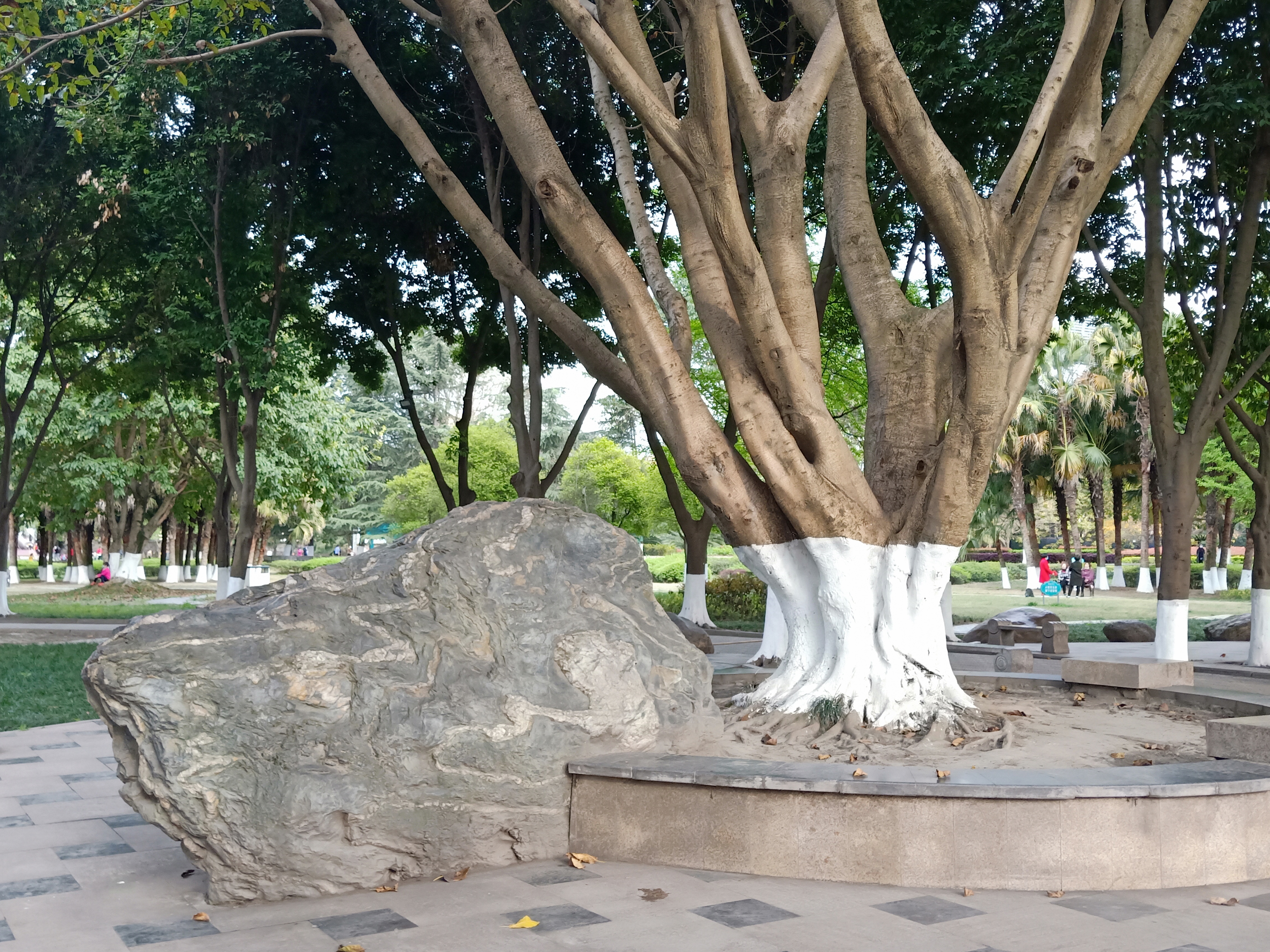 四川绵阳五一广场，一个让人流连忘返的地方