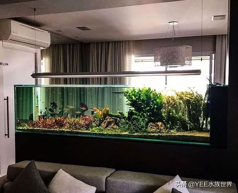 反气举多久能建立硝化系统,反气举可以培养硝化菌吗