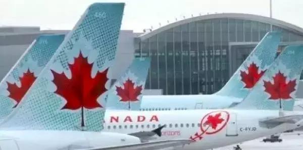 加拿大旅游必买古董,加拿大旅游签证获批要求