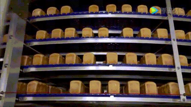 凭这一点,优秀工厂的面包就赢在了起跑线上