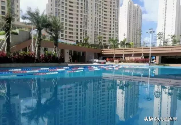 深圳游泳教练培训学校有哪些,深圳成人游泳培训班哪里好