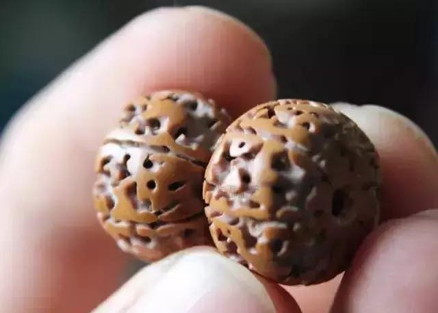 打磨藏式金刚教程,无齿藏式金刚菩提怎么盘