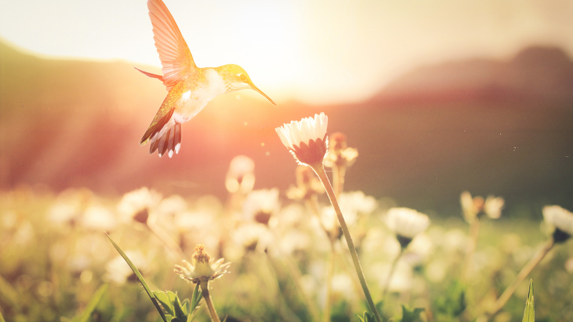 十首最经典的微笑诗,你的微笑很美唯美诗词