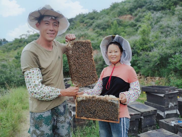 新西兰康维他蜂蜜功效,为什么新西兰的蜂蜜这么贵