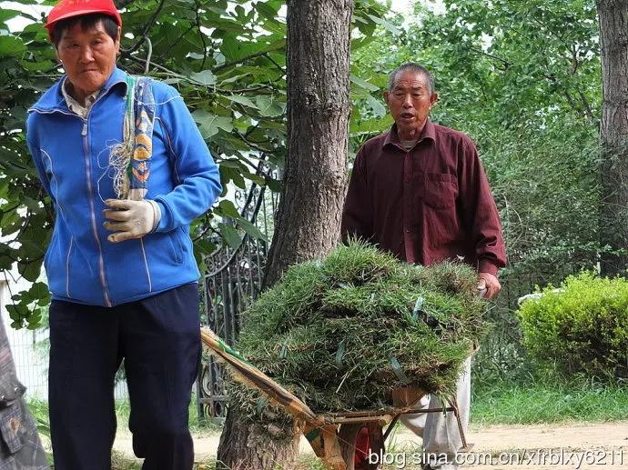 在深圳做保安有月入7000的保安吗,在深圳当过保安