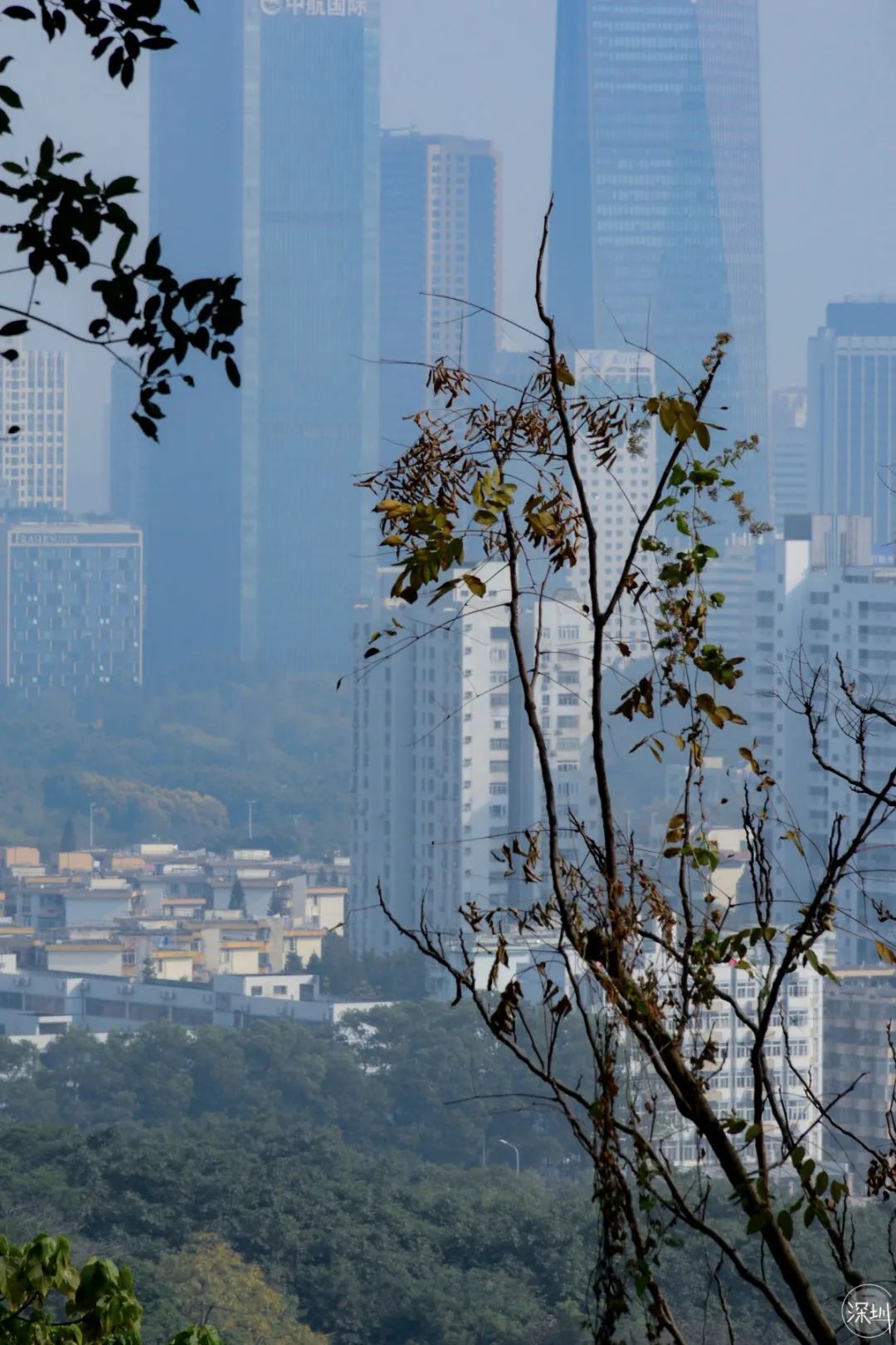 莲花山绿了没,莲花山红色景点有哪些