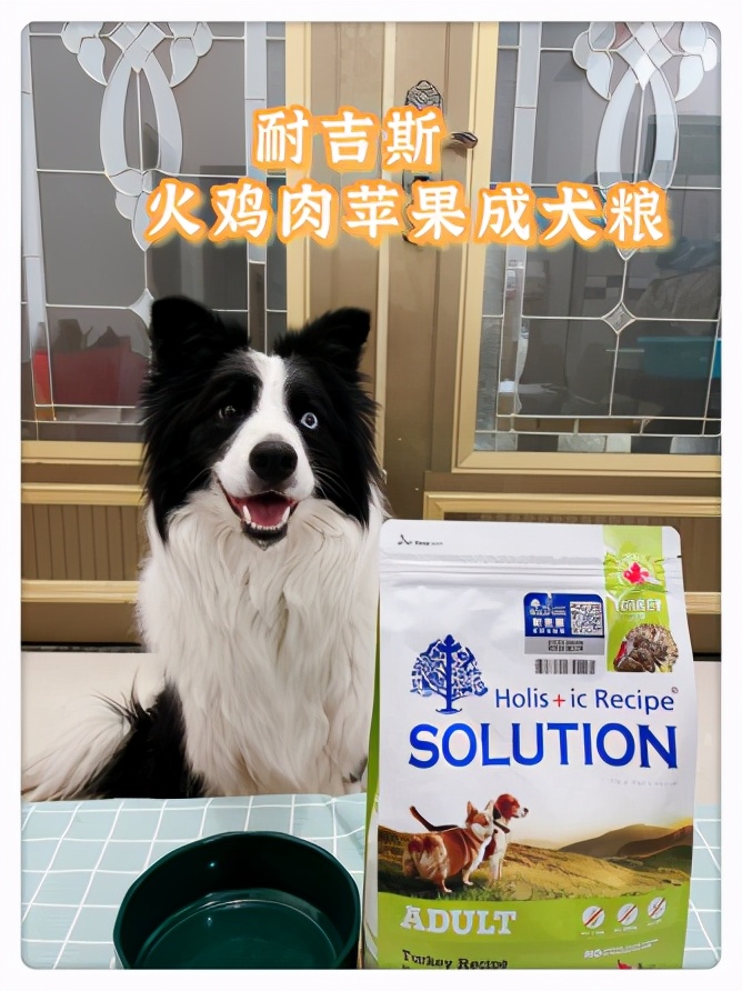 耐吉斯和比瑞吉狗粮哪个好,耐吉斯狗粮三个产地哪个最好