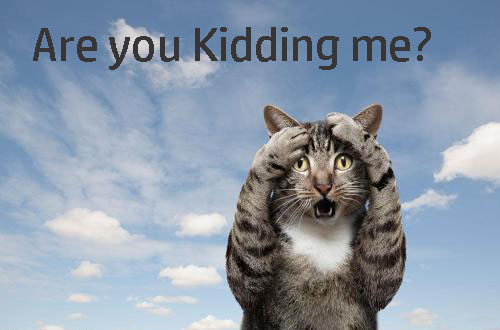 孩子的英文单词kid,小朋友的英语名字推荐