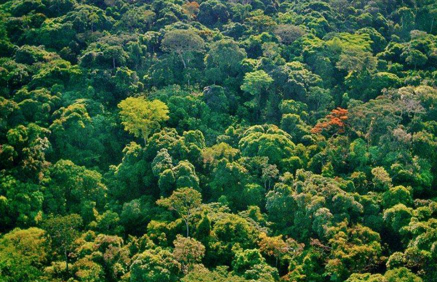 非洲刚果河全景,非洲的刚果河深度