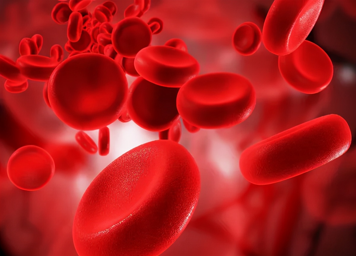 猫咪便便有血是什么原因,猫咪拉血便是怎么回事