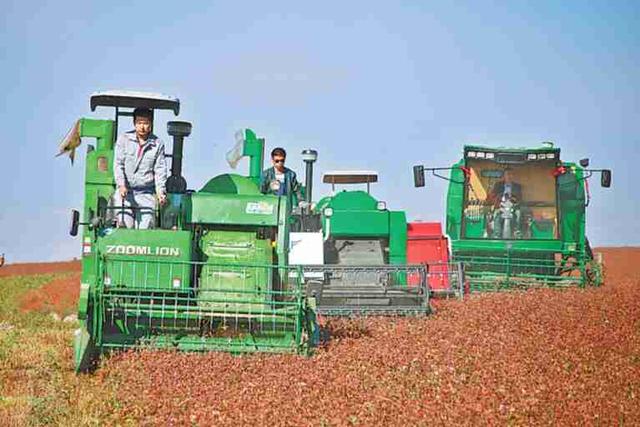 榆林农业产业园区地址位置,榆林国家现代农业科技示范园