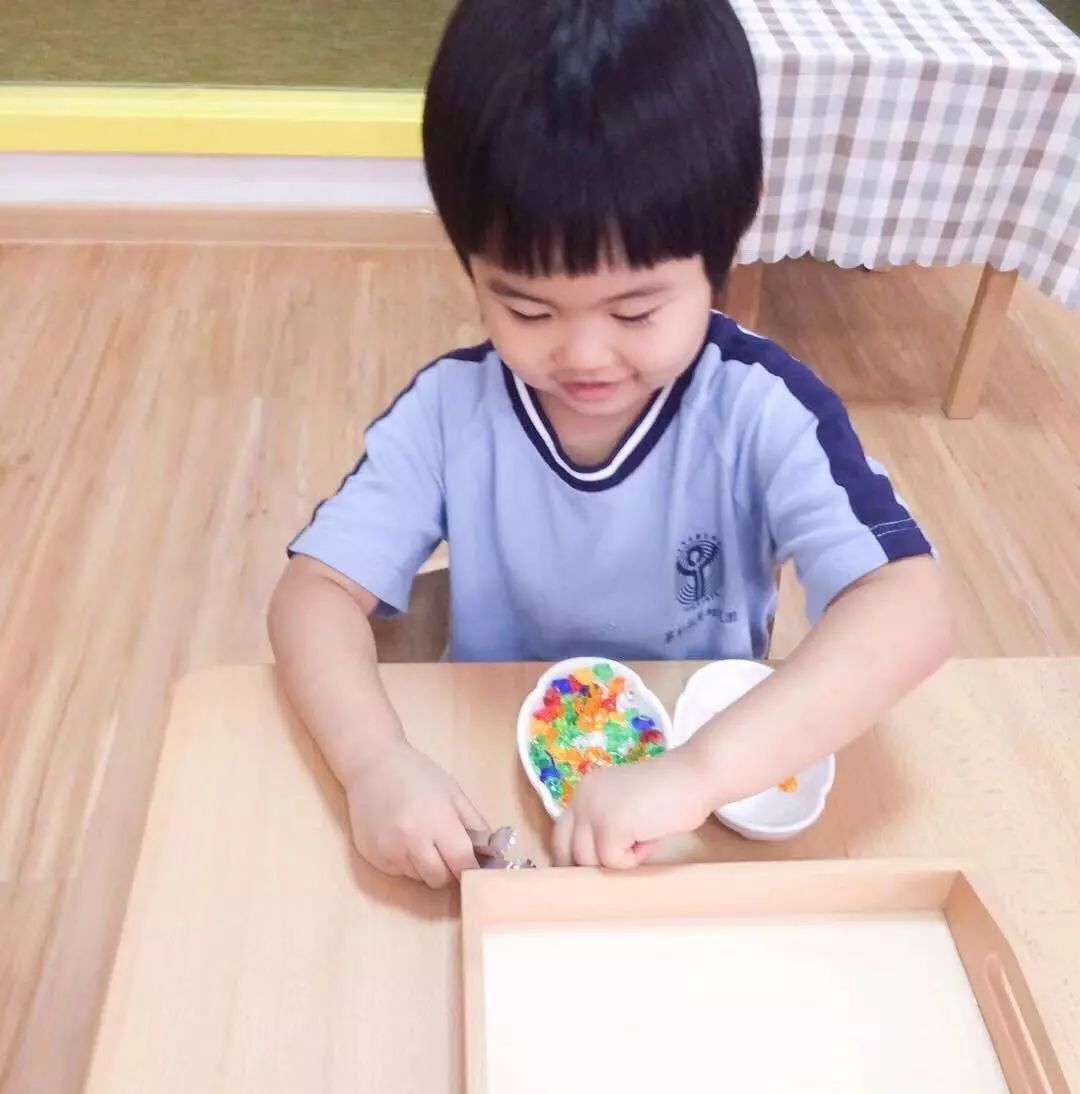 华杉学习方法,华杉幼儿园蒙氏教育