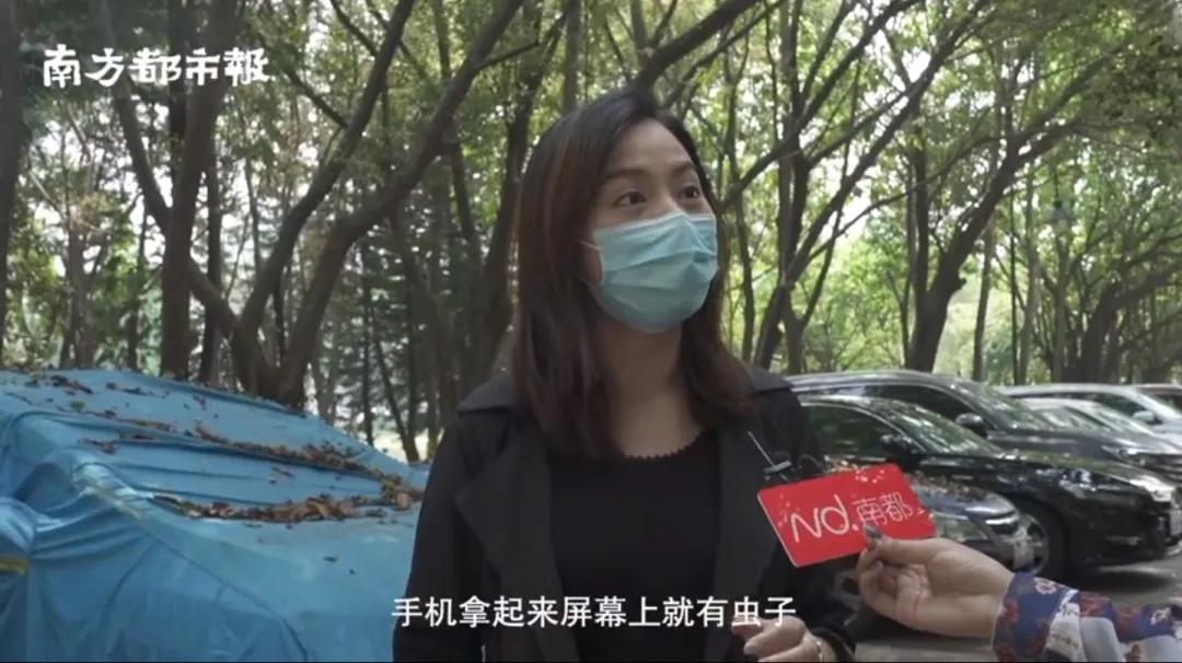 不明小虫咬后奇痒无比,咬人很痒的小黑虫有哪些