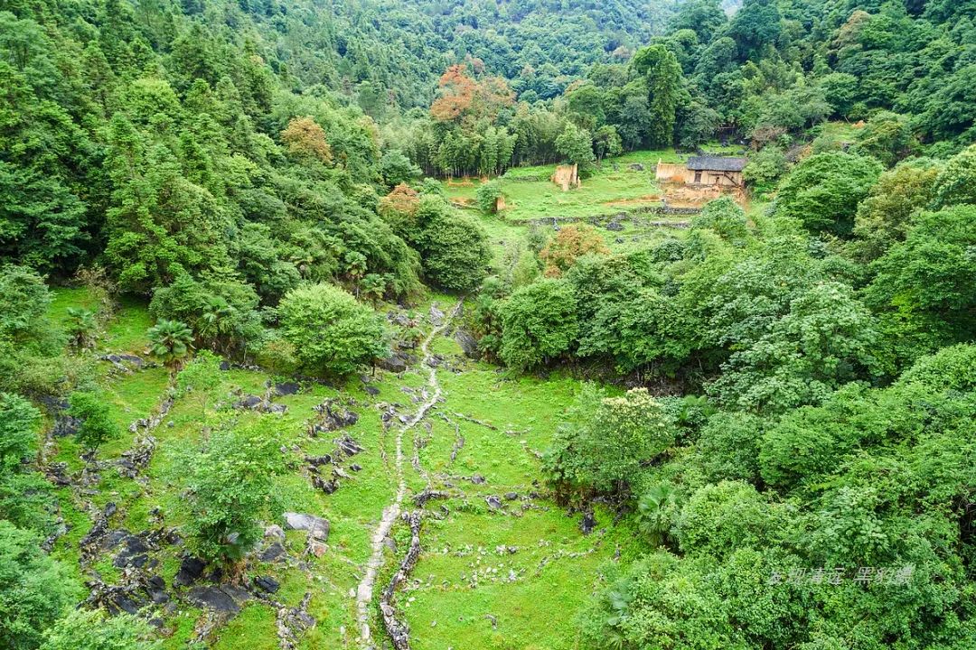 徒步穿越秦岭无人区,徒步穿越喀斯特森林