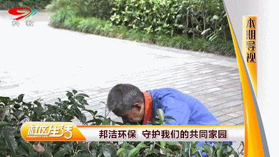 成都的干净程度,成都的街道名为什么好听