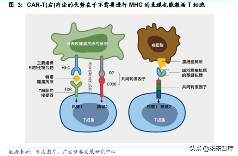 基因与细胞治疗行业痛点,细胞与基因治疗市场规模
