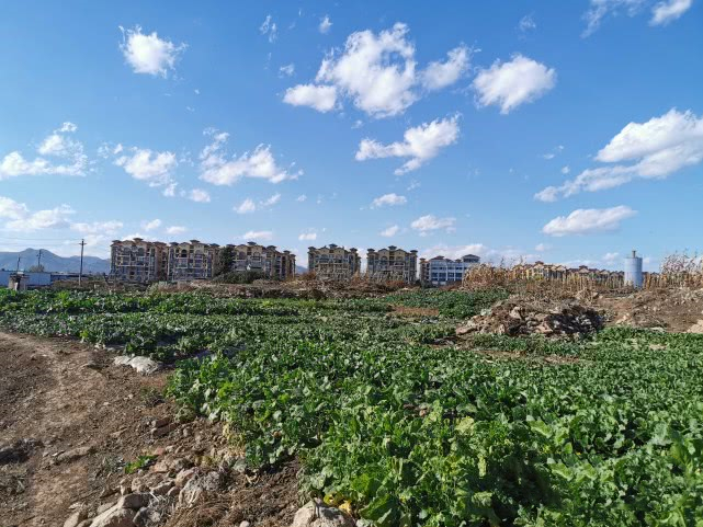 昆明仁泽地产西南海,云南仁泽地产开发有限公司怎么样