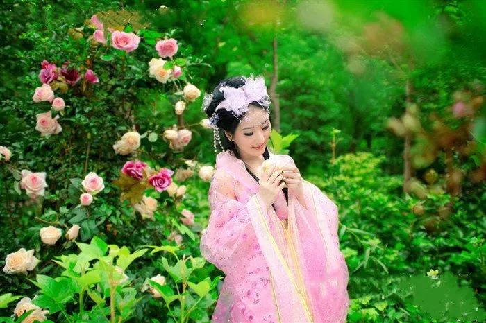 华酝牡丹园紫藤花,华酝牡丹园格桑花