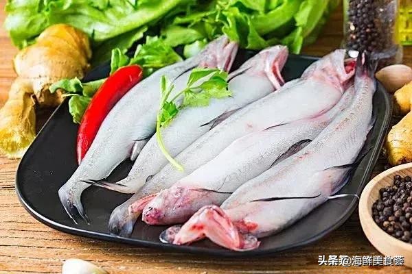 十种廉价海鱼,最常见的便宜海鱼类有哪些