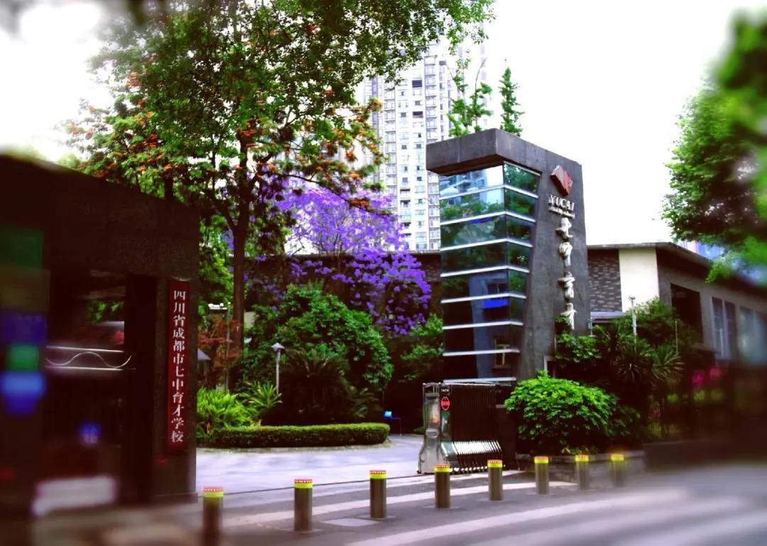 成都高新区哪个片区对口学校好,成都锦二区小升初对口学校分析